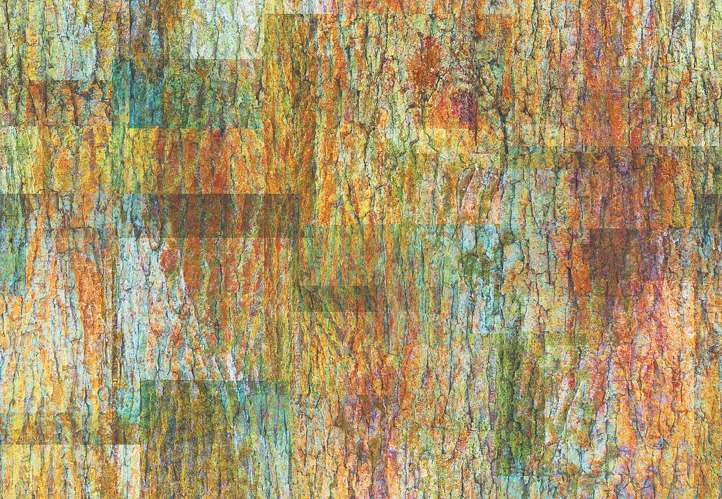 Панно и фотообои Casamance Oxymore 3 77802213