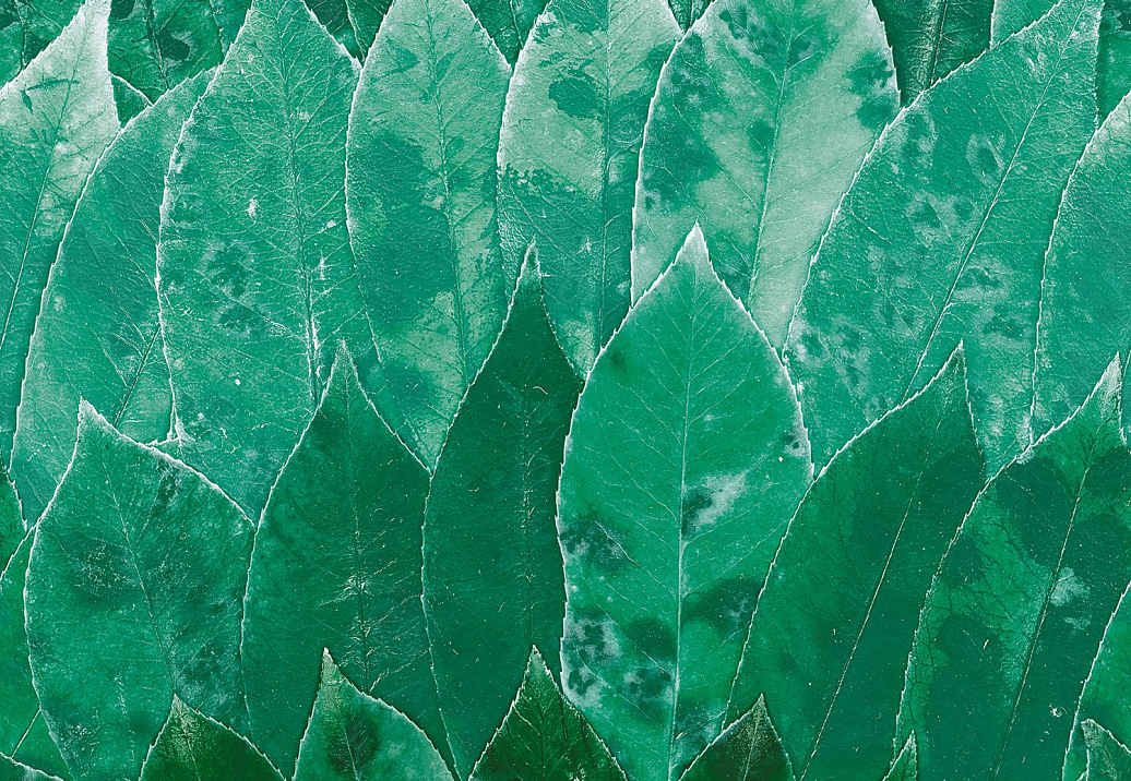 Панно и фотообои Casamance Oxymore 3 77832219