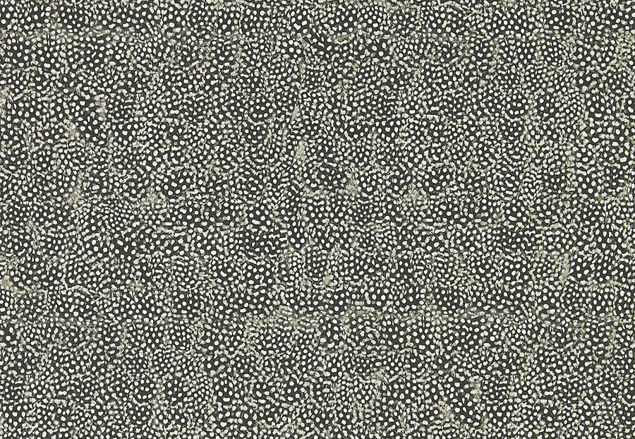 Обои Zoffany Kempshott 312650