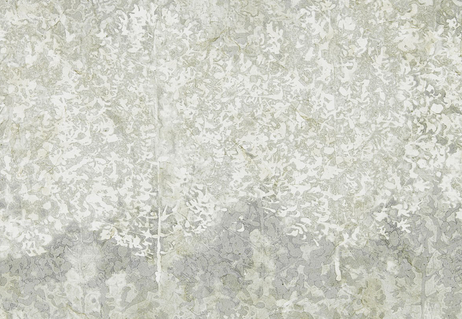 Обои Zoffany Kempshott 312652