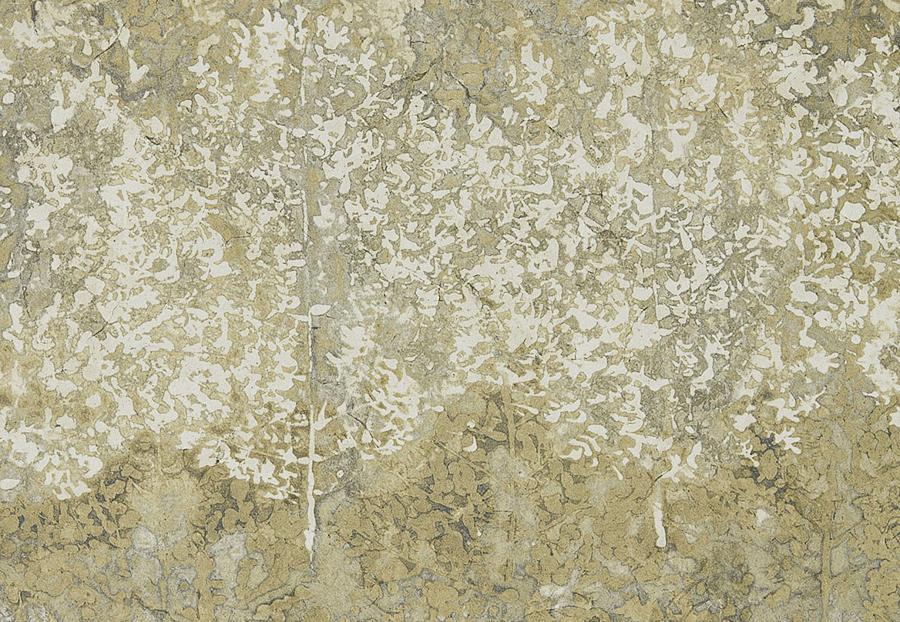 Обои Zoffany Kempshott 312654