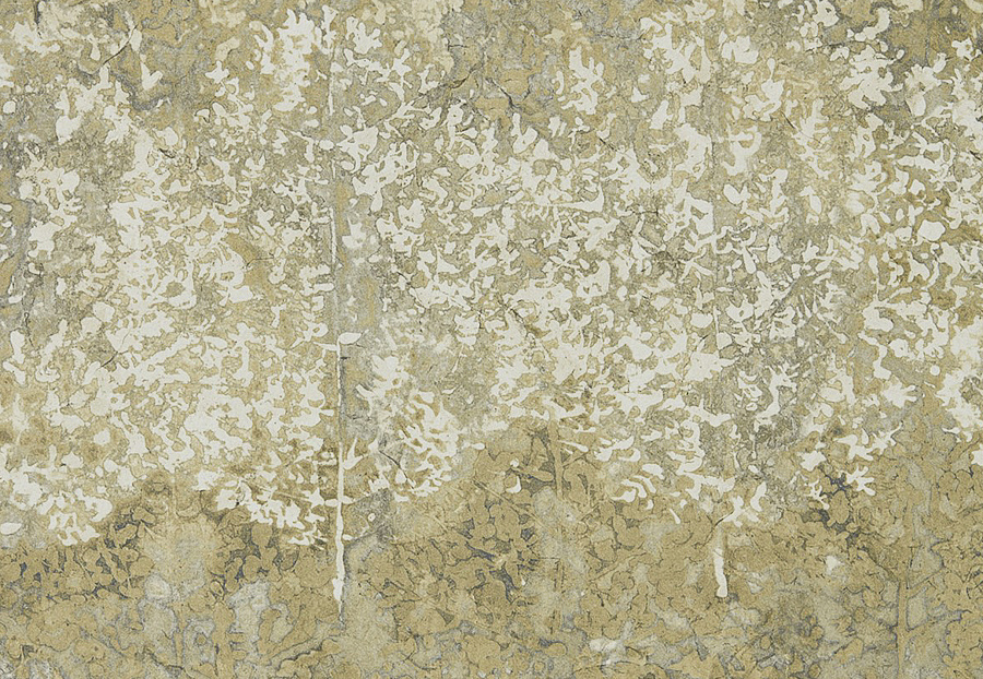 Обои Zoffany Kempshott 312654