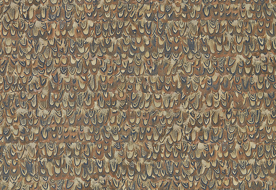 Обои Zoffany Kempshott 312674