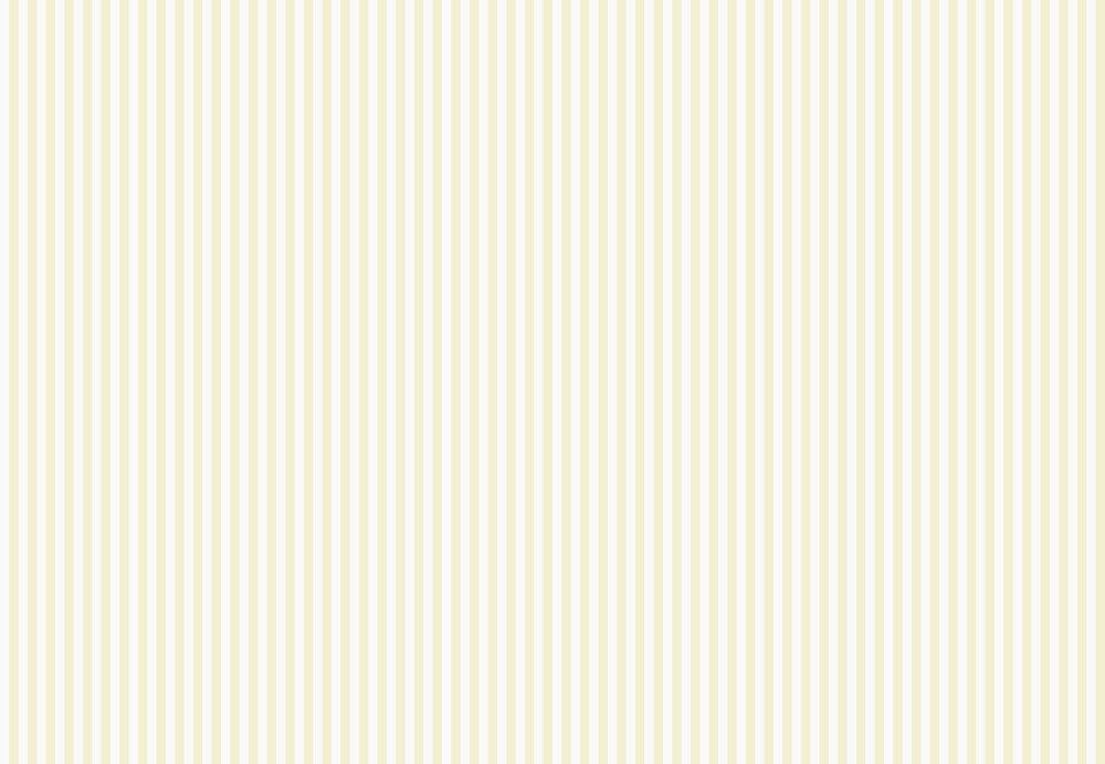 Обои Sandberg Rand Skandinavian Stripes 525-22