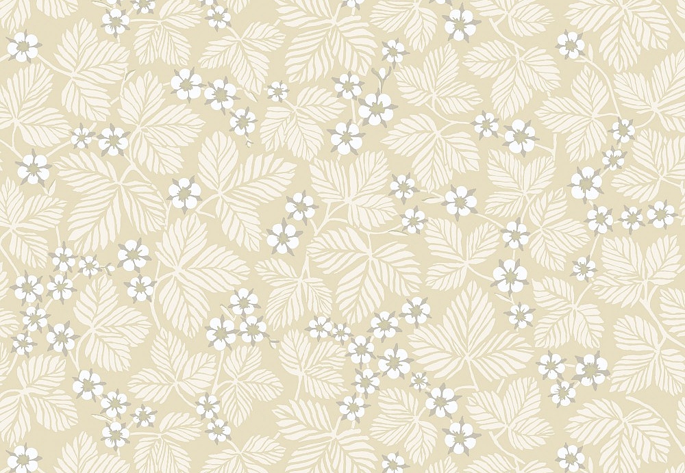 Обои Sandberg Flora Sandbergica 585-12
