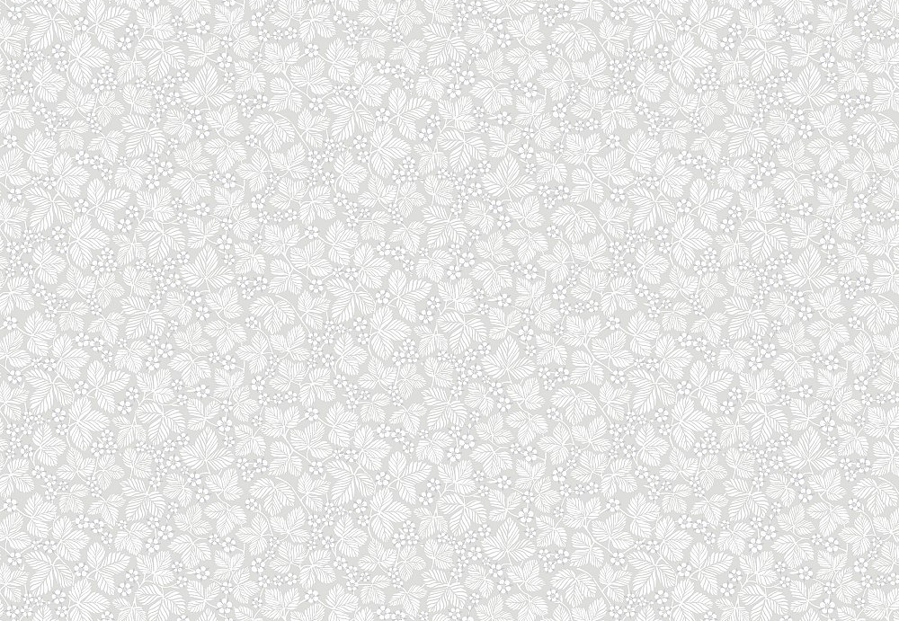 Обои Sandberg Flora Sandbergica 585-21