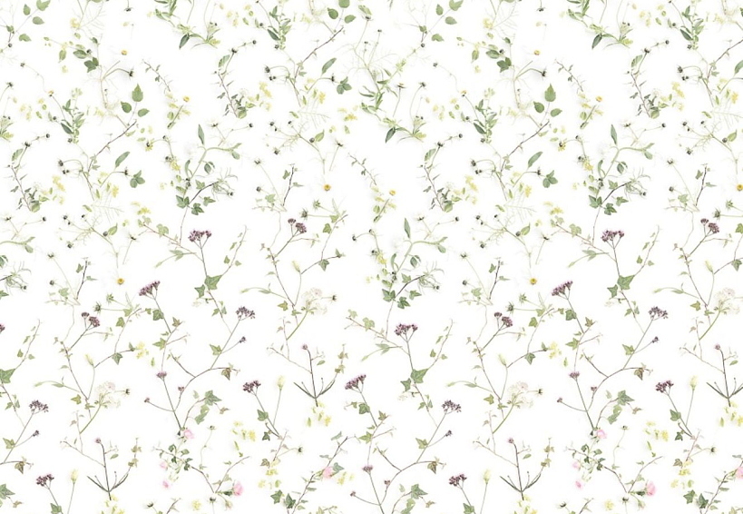 Обои Sandberg Flora Sandbergica 624-04
