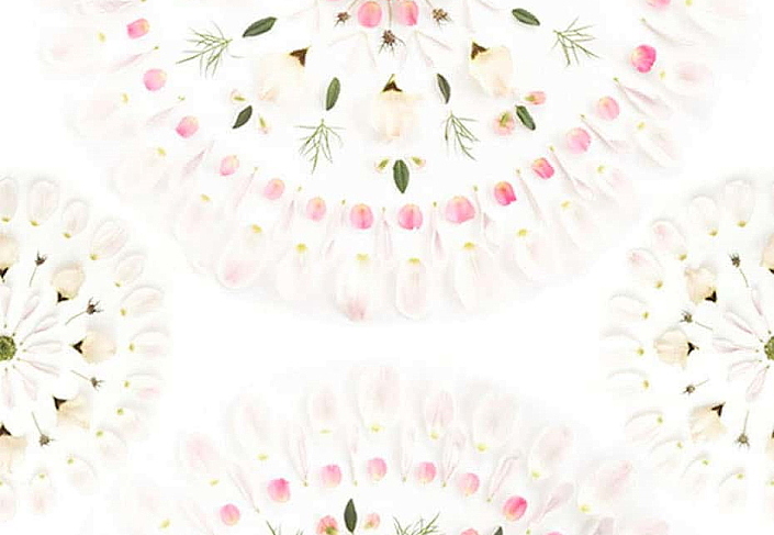 Панно и фотообои Sandberg Flora Sandbergica 628-01