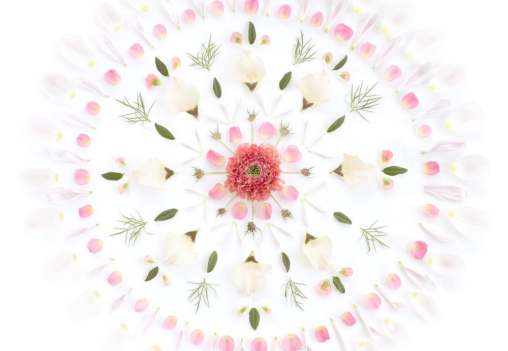 Панно и фотообои Sandberg Flora Sandbergica 629-02