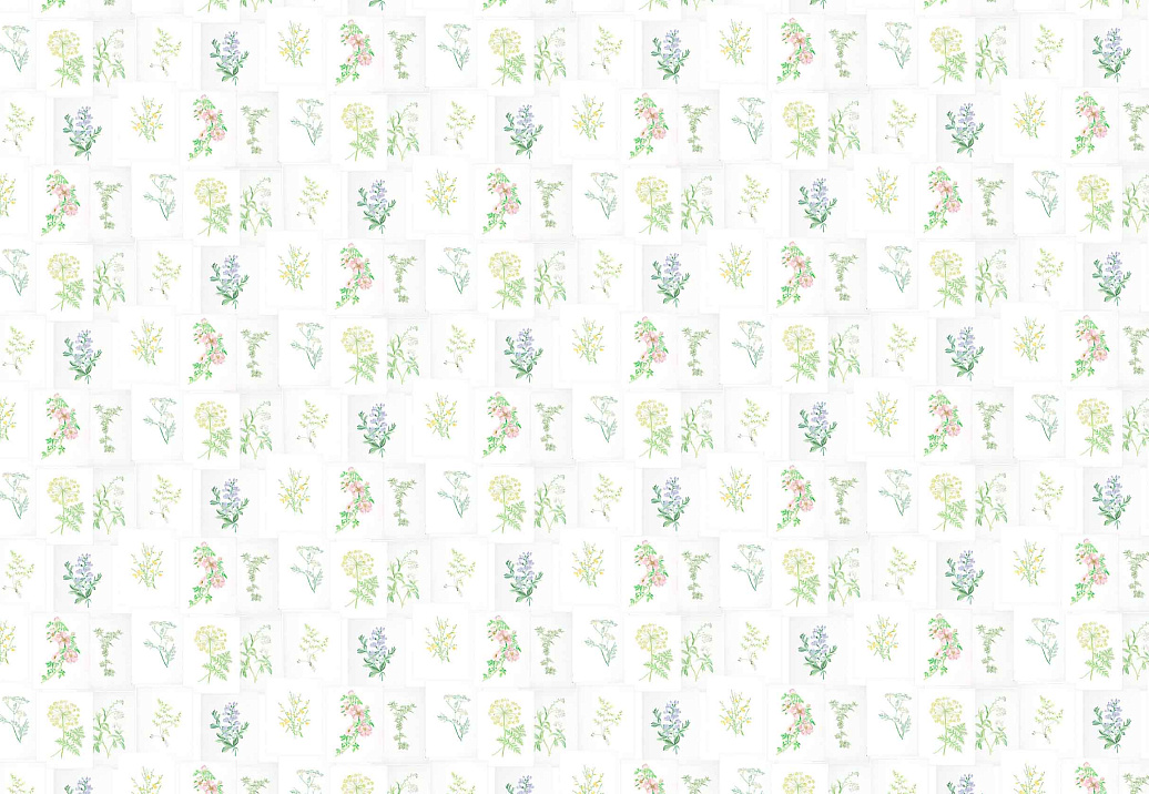 Обои Coordonne Random Papers issue 7800994