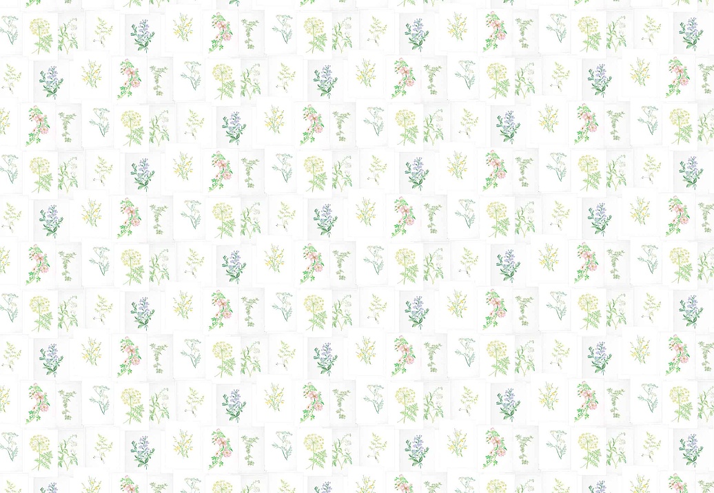 Обои Coordonne Random Papers issue 7800994