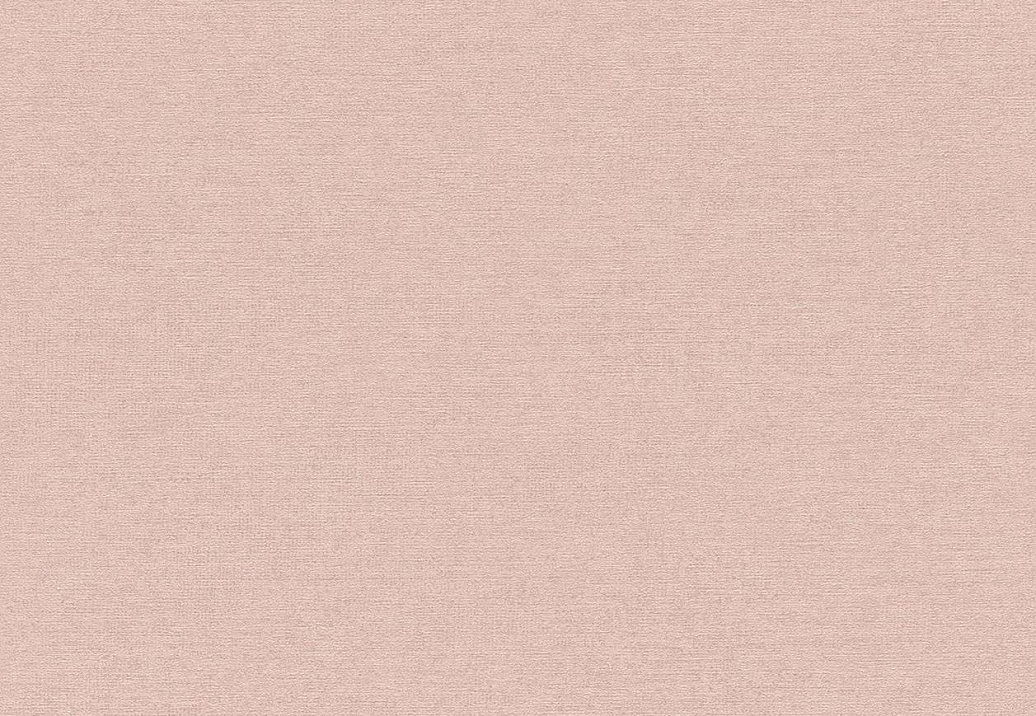 Обои Rasch Cosy Living 600254