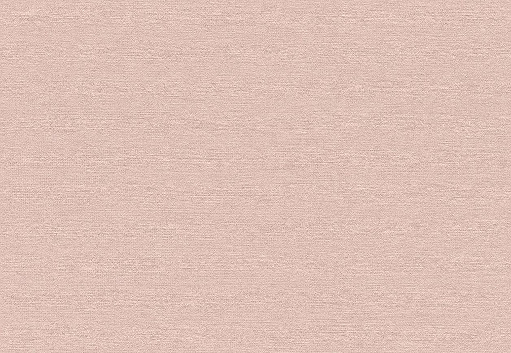 Обои Rasch Cosy Living 600254