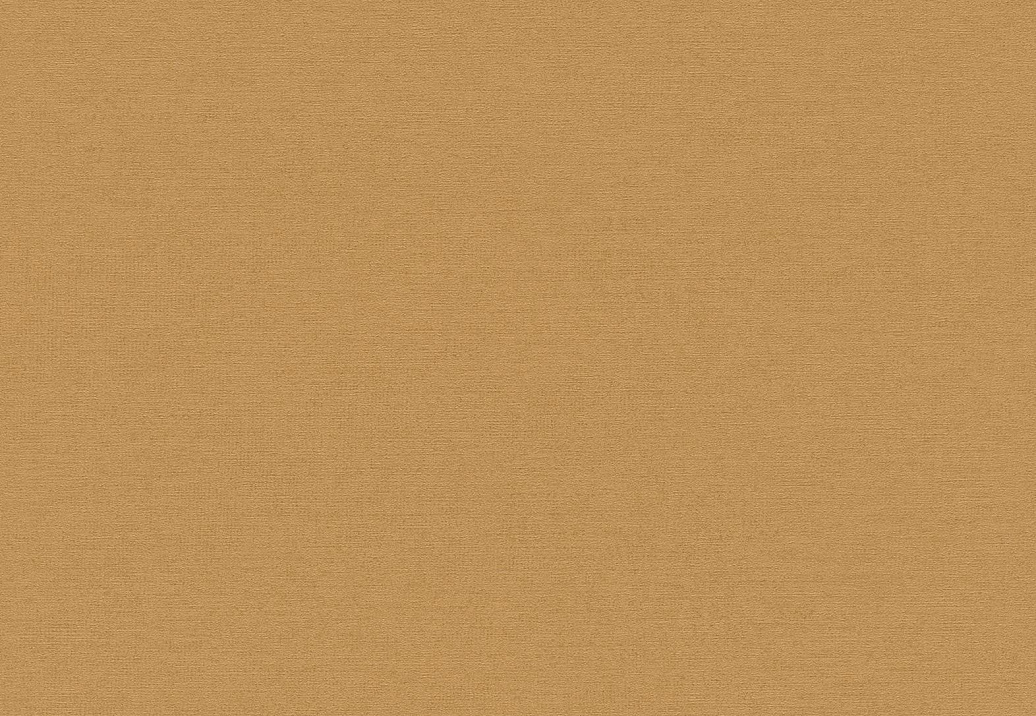 Обои Rasch Cosy Living 600292