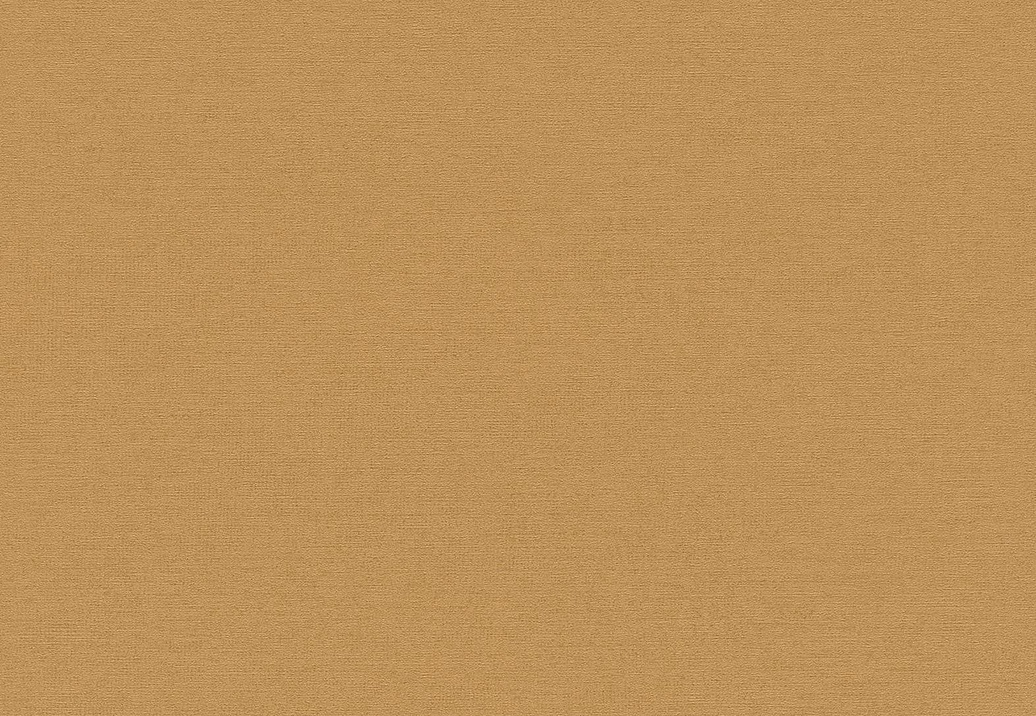 Обои Rasch Cosy Living 600292