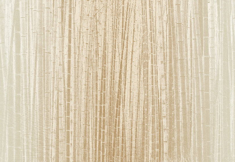 Обои Jannelli & Volpi 201 Murals Decor 40330