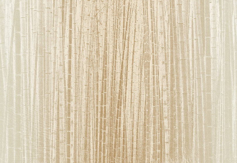 Обои Jannelli & Volpi 201 Murals Decor 40330
