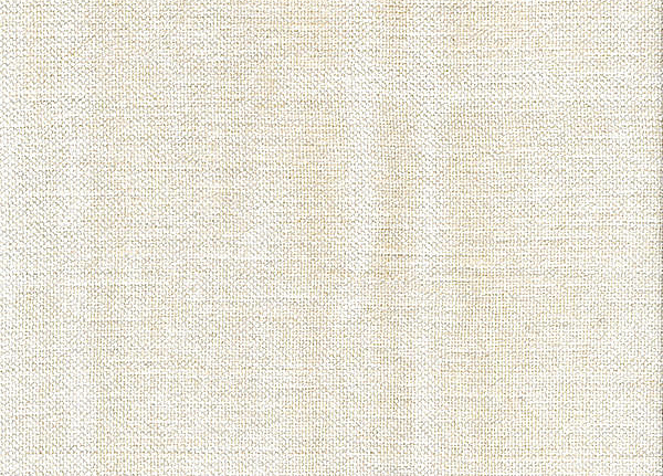 Ткань Andrew Martin Carlotta Palazzo/Ivory