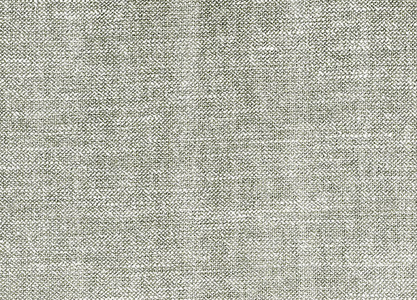Ткань Andrew Martin Carlotta Palazzo/Pebble