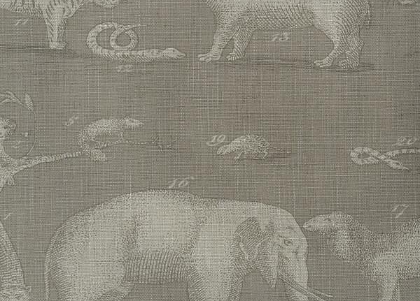 Ткань Andrew Martin Expedition Kingdom/Canvas