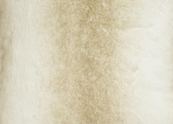 Ткань Andrew Martin Berkeley Wilton/Ivory