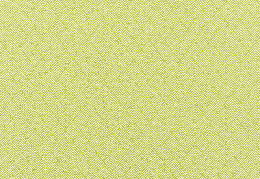 Ткань Designers Guild Palasari Outdoor FDG2673/02