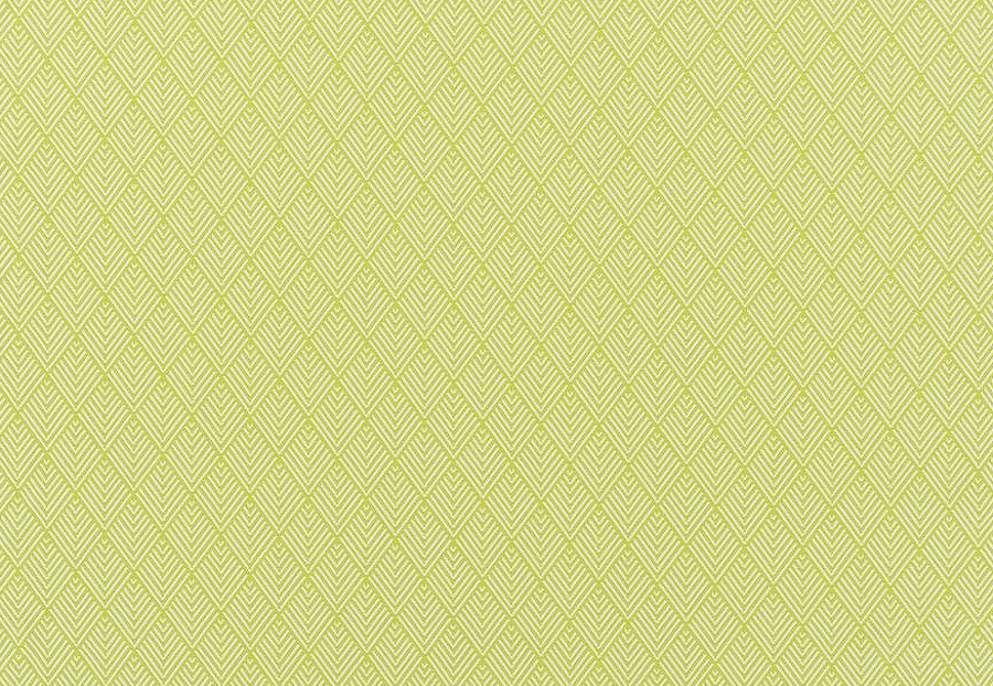 Ткань Designers Guild Palasari Outdoor FDG2673/02