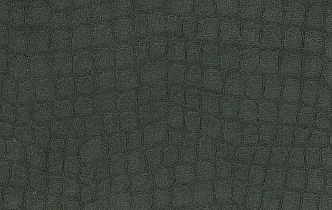 Английская ткань Designers Guild, коллекция Kalahari, артикул FDG2166/03