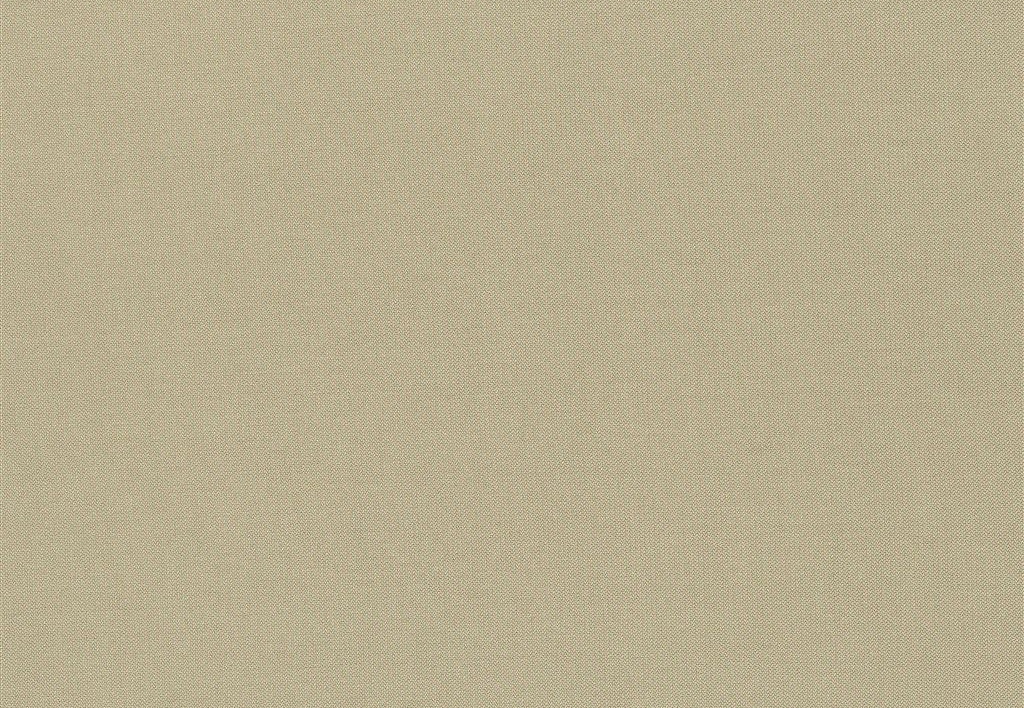Ткань Designers Guild Aquarelle FDG2196/06