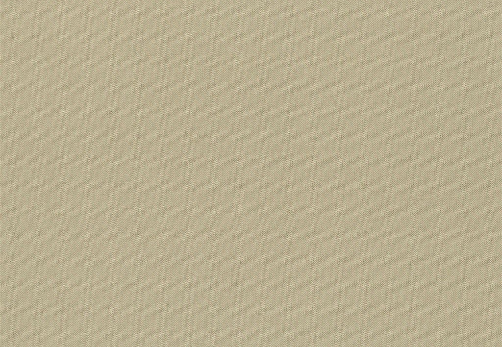 Ткань Designers Guild Aquarelle FDG2196/06