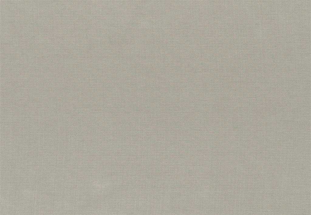 Ткань Designers Guild Aquarelle FDG2196/11
