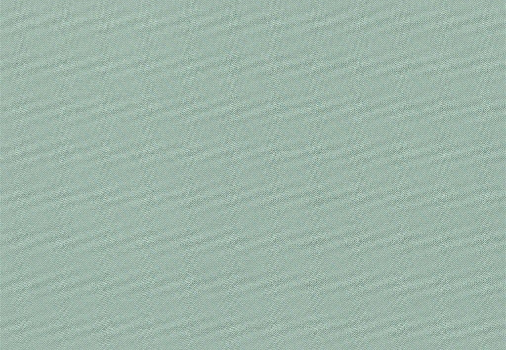 Ткань Designers Guild Aquarelle FDG2196/23