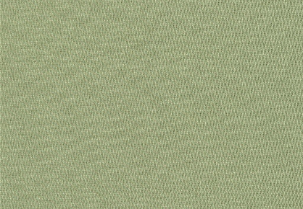 Ткань Designers Guild Aquarelle FDG2196/24