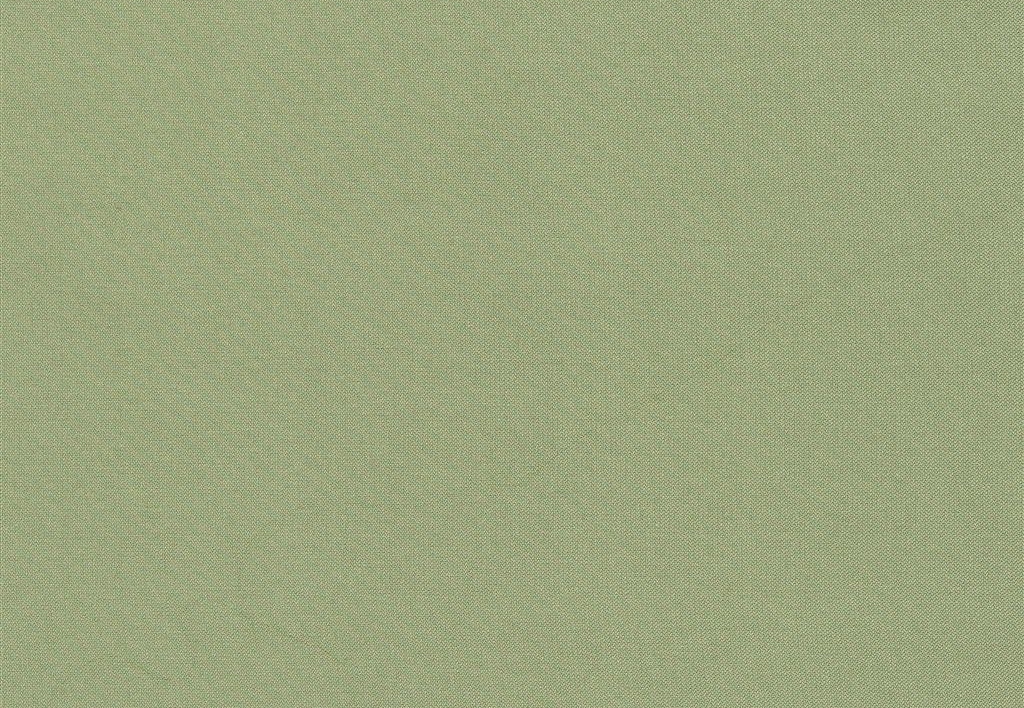 Ткань Designers Guild Aquarelle FDG2196/24