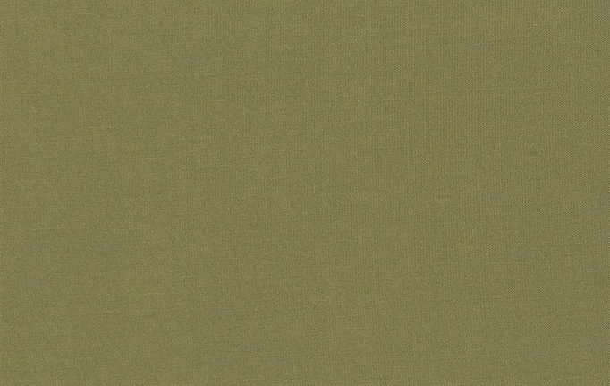 Английская ткань Designers Guild, коллекция Aquarelle, артикул FDG2196/25