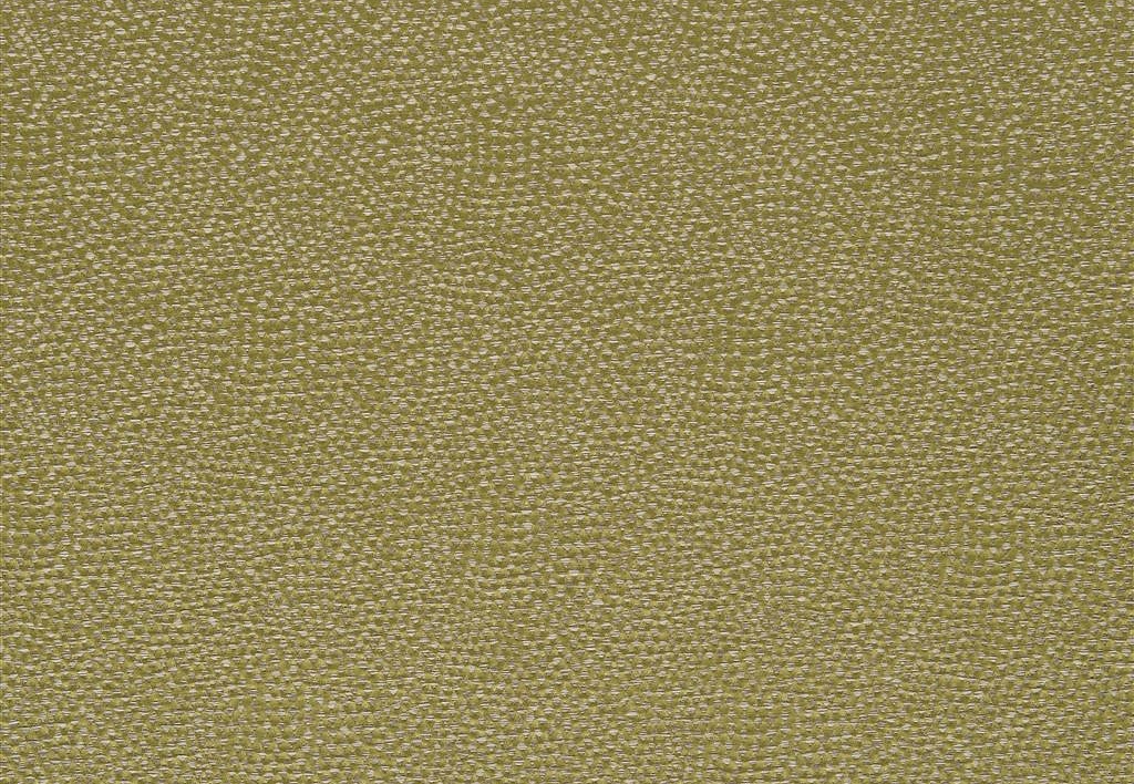 Ткань Designers Guild Sesia FDG2747/10