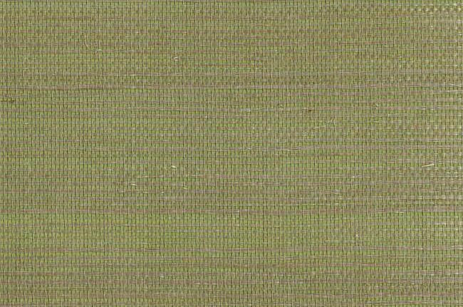 Обои York Ashford House - Ashford Tropics GC0701