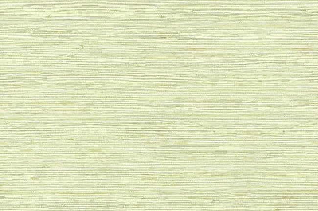 Обои York Ashford House - Ashford Tropics WB5505