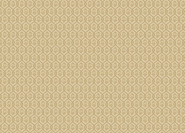 Обои Loymina Amber Salon AS3004/1