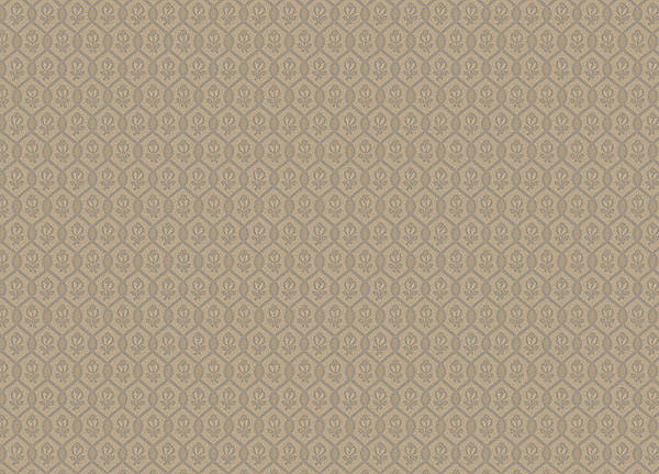 Обои Loymina Amber Salon AS3012