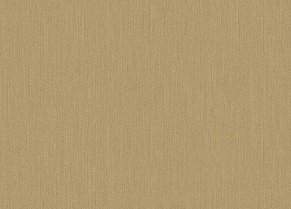 Обои Loymina Amber Salon AS5004/3