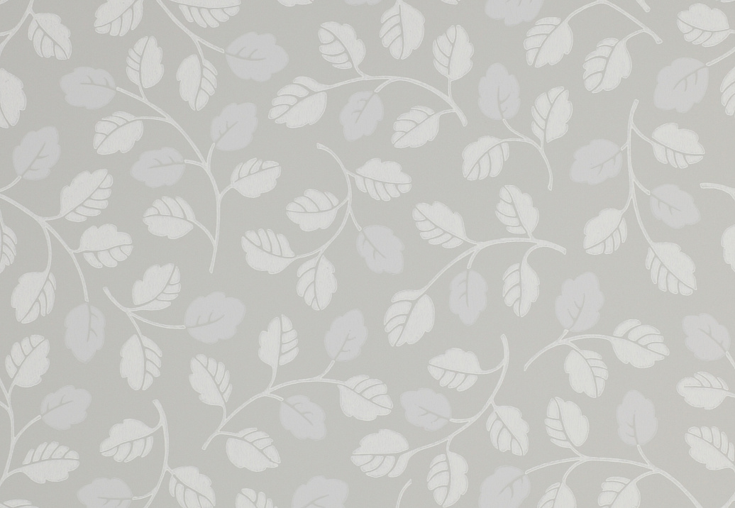Обои Jane Churchill Brightwood J141W-05
