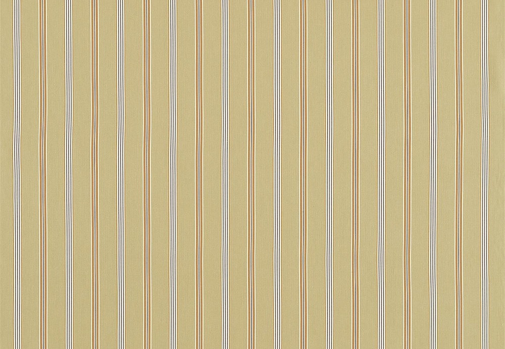 Ткань Sanderson Sanderson Home Country Stripes 232675