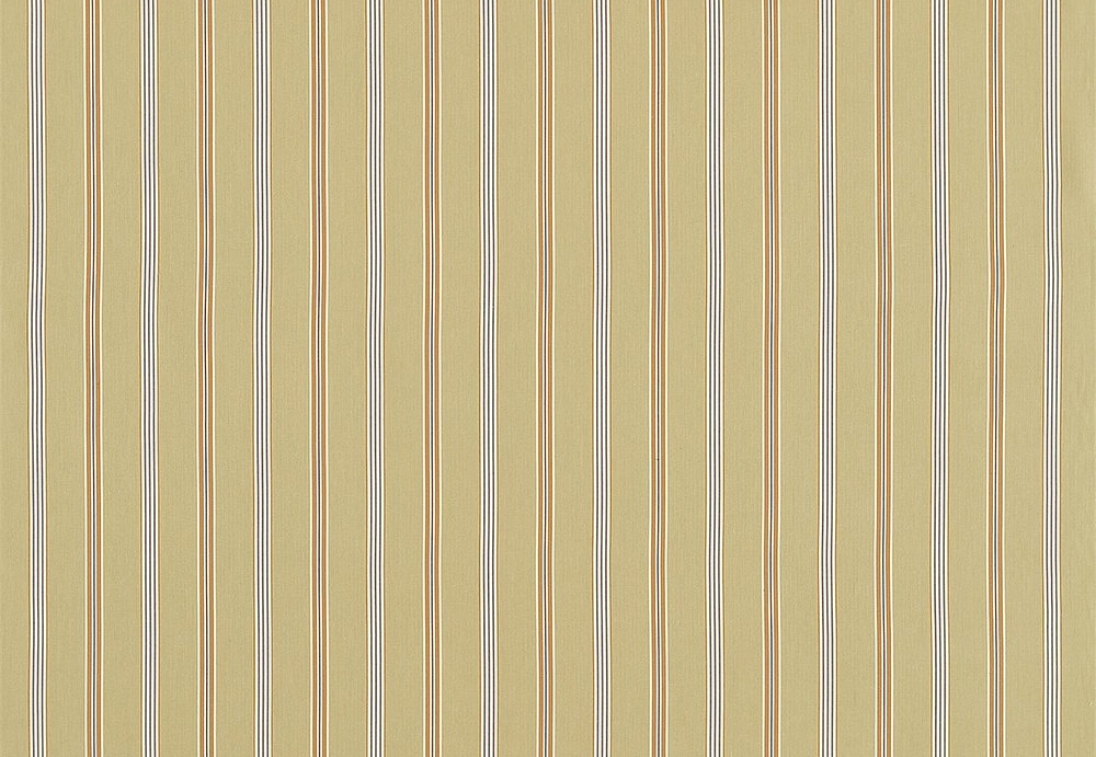 Ткань Sanderson Sanderson Home Country Stripes 232675