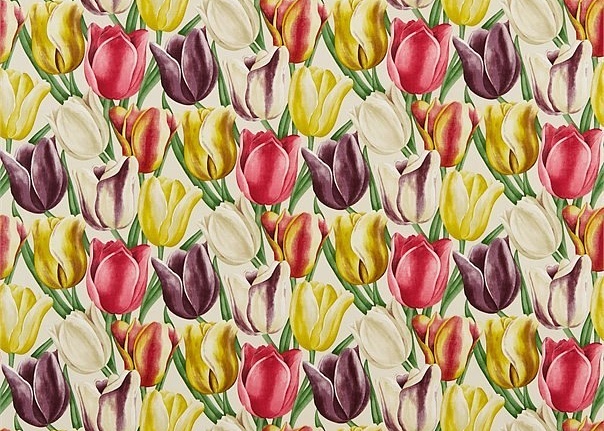 Ткань Sanderson Summer Prints 224501