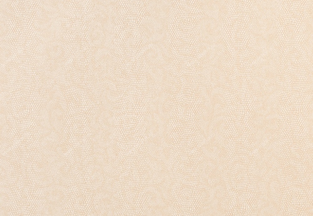 Обои Studio 465 Vegas LV70507