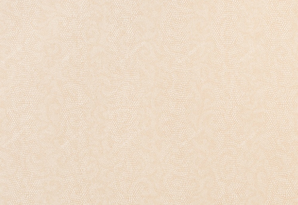 Обои Studio 465 Vegas LV70507