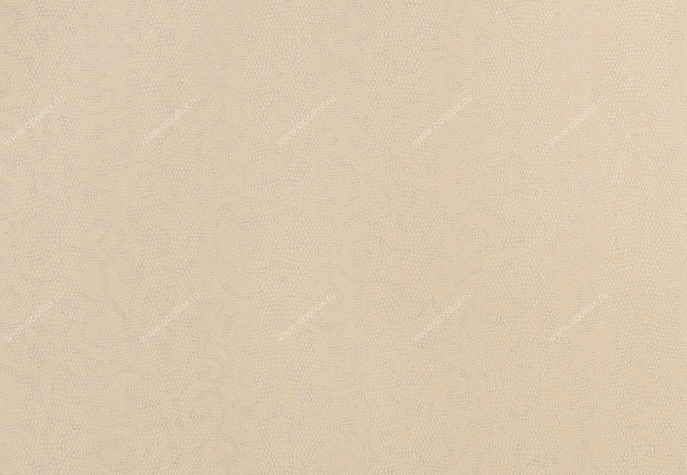 Обои Studio 465 Vegas LV70508