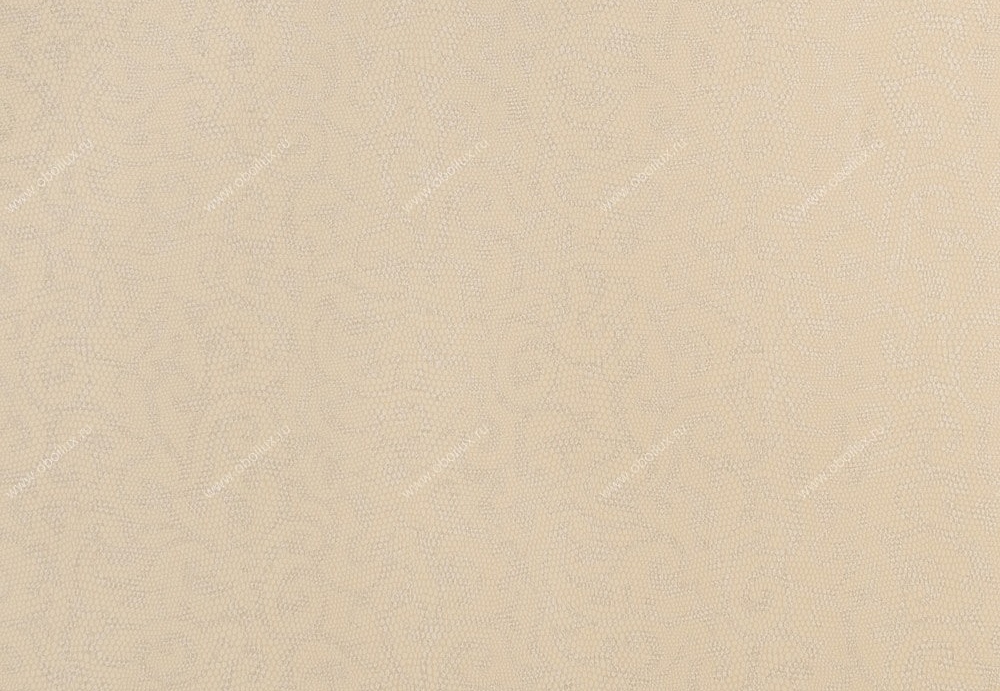 Обои Studio 465 Vegas LV70508