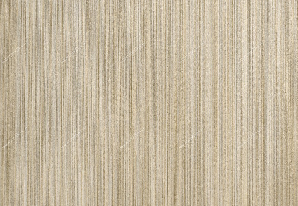 Обои Studio 465 Vegas LV72009